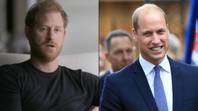 Prince Harry goes against Prince William's request in new Netflix documentary