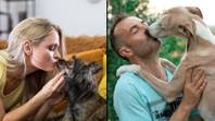 医学专家解释了为什么您永远不应该在狗的嘴里亲吻您的狗