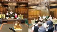 灭绝叛乱抗议者将自己粘在下议院的议长椅子上