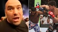 Footage resurfaces of Dana White reacting to fighter get knocked out after handing him life-time UFC ban