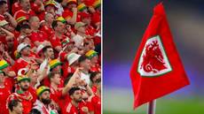 Wales fan dies while in Qatar supporting his country at World Cup