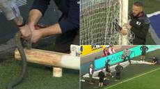 Hull City vs Birmingham delayed because the goals were TOO BIG and needed to be SAWED down