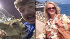 Mum of England fan who 'petted a lion and partied with sheikh' says son wasn't telling entire truth