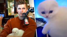 Ludwig Lets Viewers Name His New Cat, Immediately Regrets It