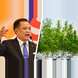 Thailand To Give Away One Million Cannabis Plants, Minister Announces