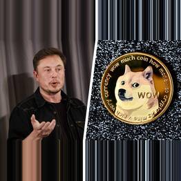 $258 Billion Lawsuit Launched Against Elon Musk Over Alleged Dogecoin Pyramid Scheme