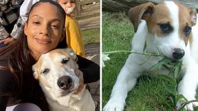 Alesha Dixon Shares Sweet Tribute To Dog After Announcing Devastating Death