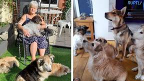 Woman forced to put down all five dogs after contracting ultra-rare disease in UK first