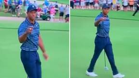 Tiger Woods Loses His Cool In Altercation With Cameraman At PGA Championships