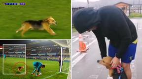 Lost puppy is finally reunited with owner after featuring in televised Chilean Premier League game