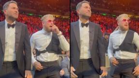 Jake Paul Praised For Reaction During Boxing Match He Helped Set Up
