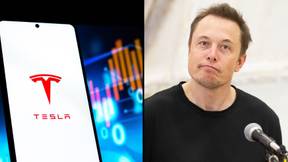 Tesla Stock Has Dropped More Than Half A Trillion Dollars Since November
