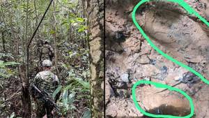 Fresh evidence that children could be alive in Amazon jungle a month after plane crashed