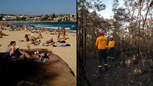 Sydney records hottest day for October 1 as bushfires rip through the state