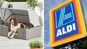 Aldi Is Selling A Pet Sun Bed To Keep Them Cool In The Heatwave
