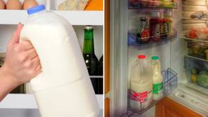 Here's Why You Shouldn't Store Your Milk In The Fridge Door