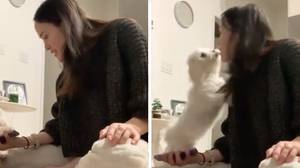 Woman Films The Moment 'Dog Translator App' Works