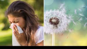 People Are Praising Strong 'Miracle' Hay Fever Tablets Available Over The Counter