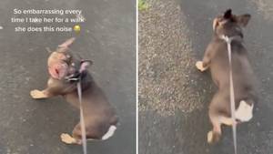 People Baffled By 'Embarrassing Noise' Dog Makes On Walks