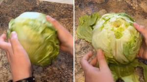 Woman Shares Simple Trick To Cut A Lettuce Without A Knife