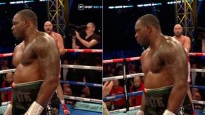 Tyson Fury Screamed At The Referee Not To Let Dillian Whyte Continue After Knockdown