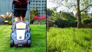 People Are Being Encouraged Not To Mow Their Lawns In May