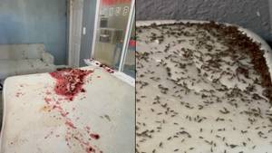 Disgusting Look Inside Training Day Room For 'Crime Scene Cleaners'