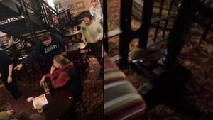 Wetherspoons Punters Shriek And Climb On Chairs After Spotting Rat Scurrying Around