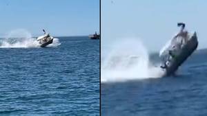 Tourists Flung Into Air After Boat Hits A Whale