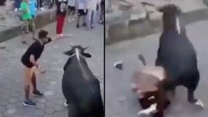 男人在试图在街上嘲弄公牛时绝对被装饰