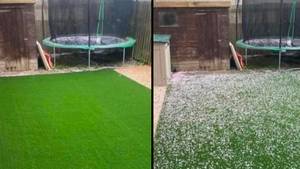 Woman Is Forced To Hoover Astroturf Garden Every Day Because Of 'Mess' From Neighbour