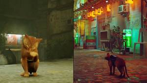 Open World Game Where You Play As A Stray Cat Has Been Released