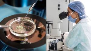 Woman Sues Fertility Clinic After Having IVF To Get Baby Girl And Welcoming A Son