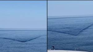 Terrifying Moment '20ft' Shark Is Spotted Swimming Towards Boat