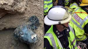 A Dog Trapped Underground For Almost 60 Hours Has Finally Been Rescued