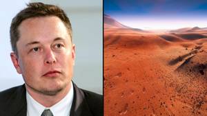 Elon Musk Has Announced Date For When SpaceX Will Fly Humans To Mars
