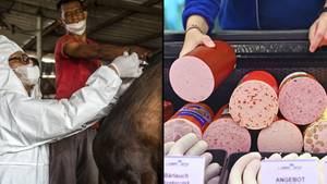 澳大利亚的肉类疾病在中国的肉类产品中已发现