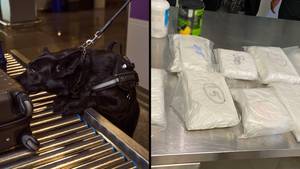 英国人通过机场捕获了'10公斤可卡因'10公斤可卡因'