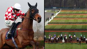 Second Horse Dies Following Grand National