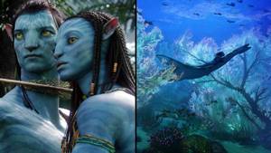 Avatar 2 Gets Official Title Avatar: The Way Of Water