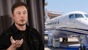 Elon Musk Responds To Allegation He Sexually Harassed SpaceX Flight Attendant