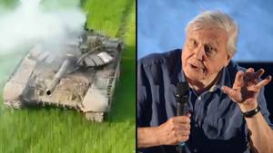假大卫·阿滕伯勒（David Attenborough）的声音叙述了俄罗斯坦克的“自然”死亡