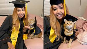 猫毕业后，大学毕业于Zoom上的每个班级
