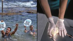 PETA抗议者假装在邦迪上表现得像“溺水老鼠”，以推动重要信息