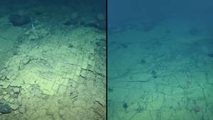 Scientists Find Strange 'Yellow Brick Road' On The Bottom Of The Pacific Ocean