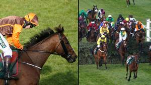 Calls For Grand National To End After Only 15 Horses Finish And Two Die