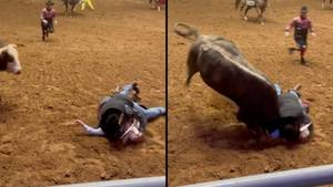Dad Bravely Jumps On 'Unconscious' Son To Save Him From Raging Bull During Rodeo