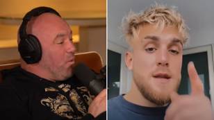 Dana White Says Jake Paul's Too 'F**king Huge' For Conor McGregor, Paul Fires Back