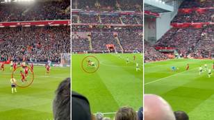Fan footage shows new angle of Mohamed Salah's touch before goal vs Manchester City, it's utter filth