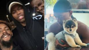 Daniel Sturridge Claims He's Already Paid Reward After Being Ordered To Pay £22,400 Over Stolen Dog